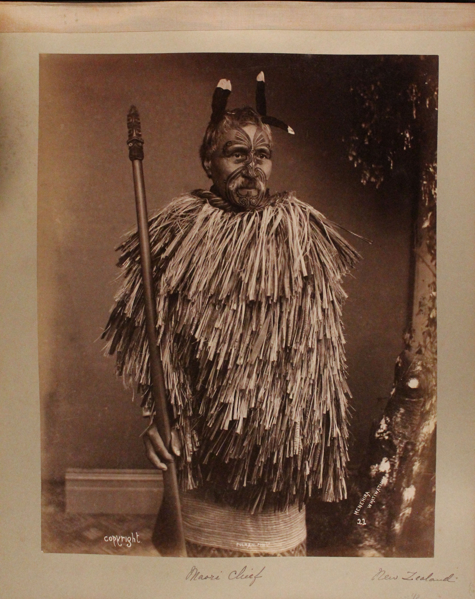 Maori chief, Menehira, poses he has a mustache, short, graying hair with feather decorations and extensive facial tattoos. He wears a cloak made of layers of flax fringe around his upper body and holds a wooden staff with a carving on top.