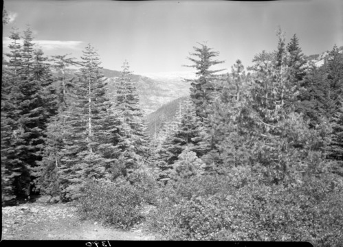 Gale & Sing Peaks from Wawona Point.