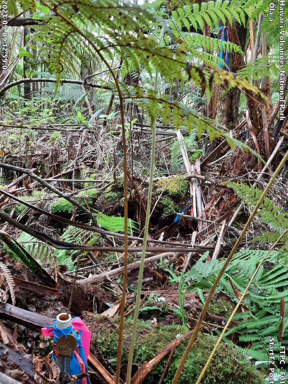 Photo of plot marker for relocation