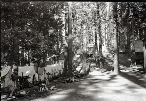 Copy Neg: Leroy Radanovich, November 2001. Yosemite Lumber Co. - Camp 15. Museum Collections Cat. No: YOSE 81670