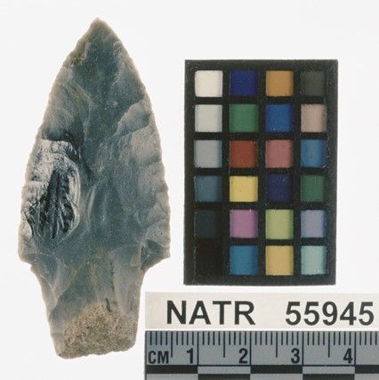 NATR   55945 -- Untyped projectile point