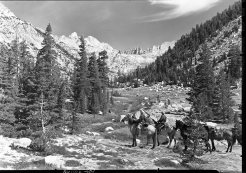 Copy Neg: October 1993, Brian Grogan.