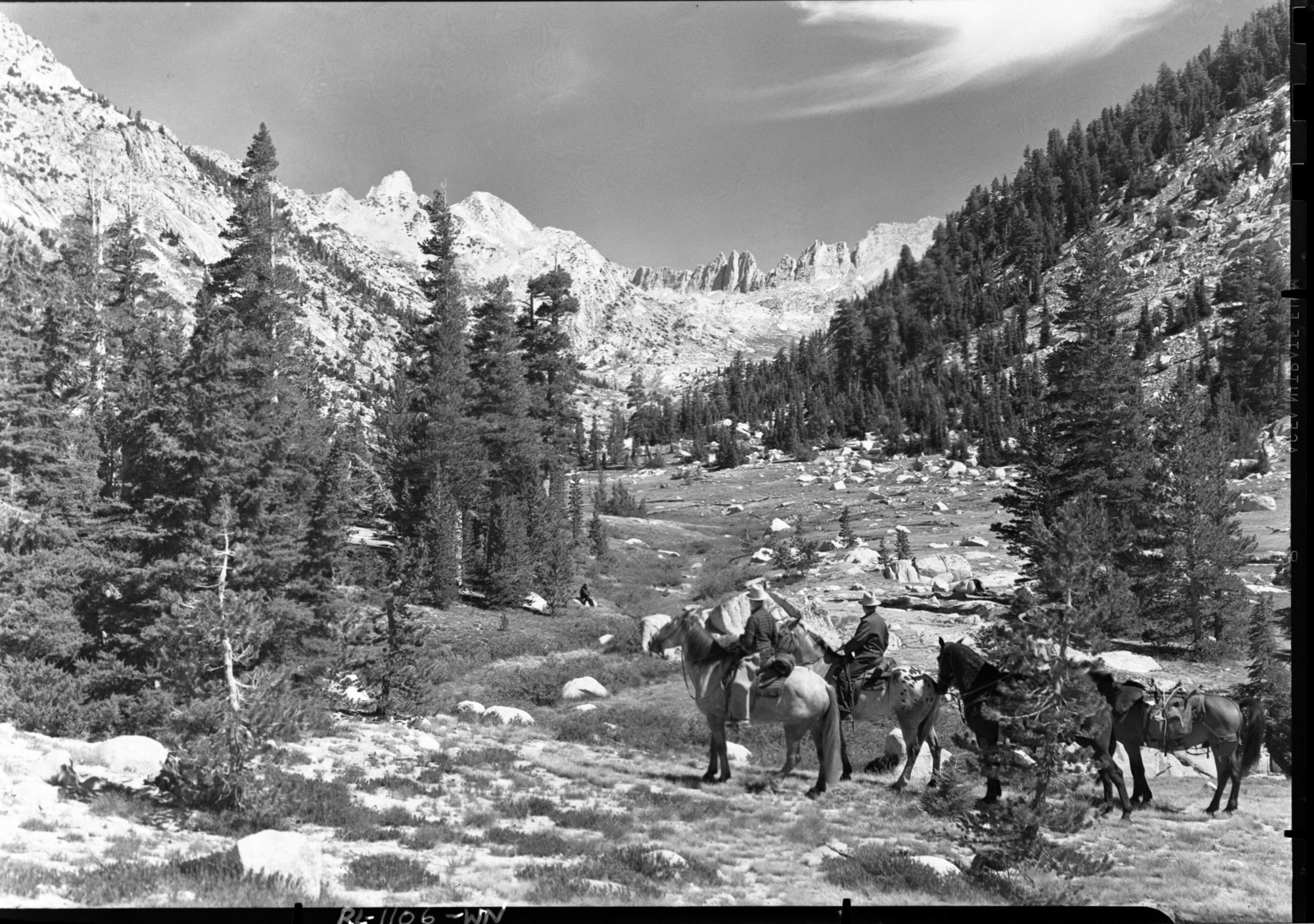 Copy Neg: October 1993, Brian Grogan.
