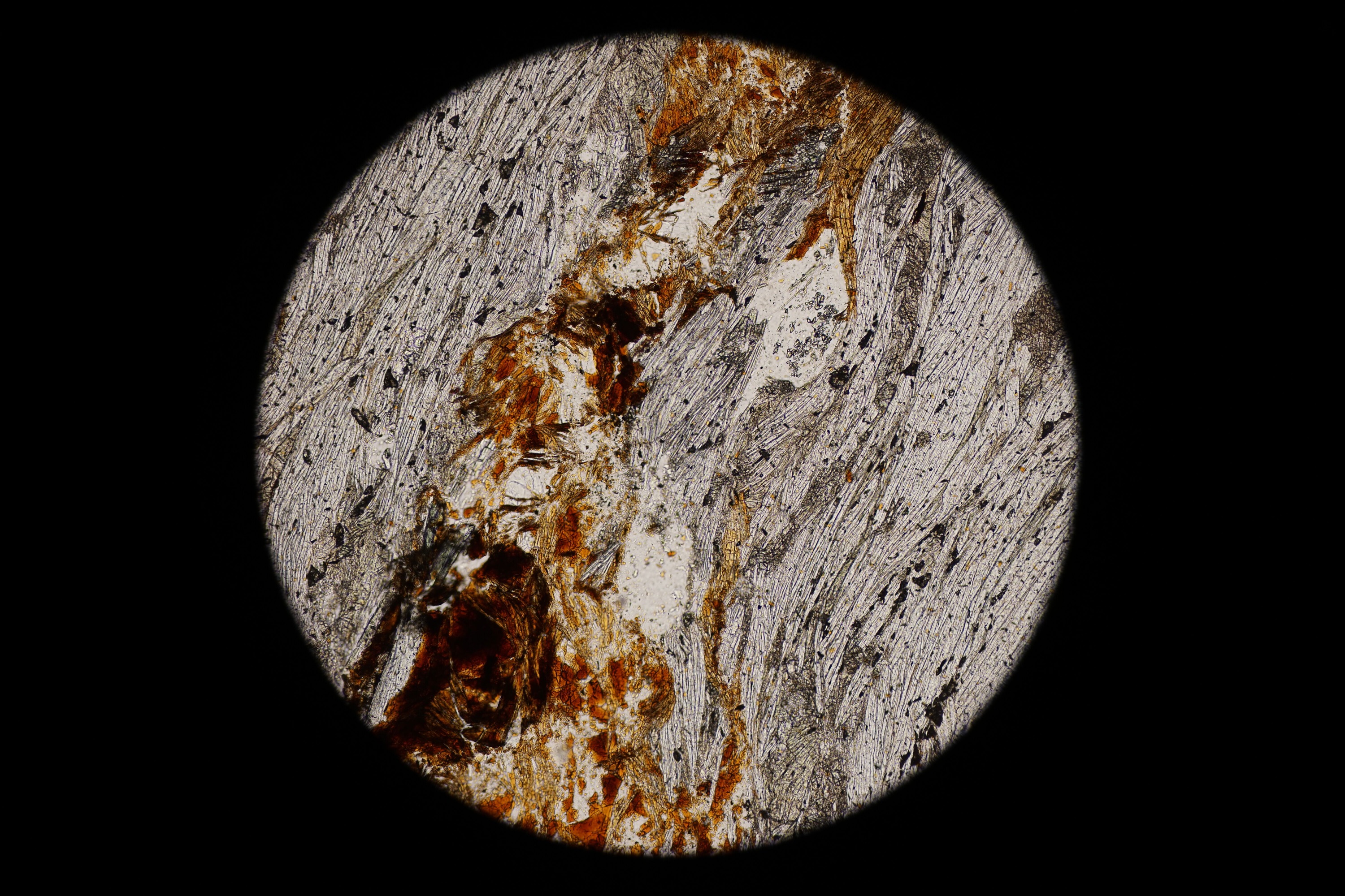 Circular microscopic image of rock structure.