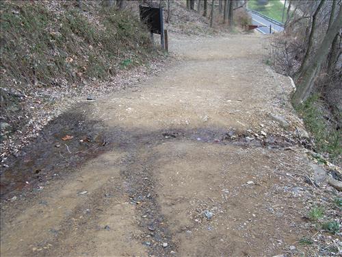 The photographic images, taken in March of 2013, show the work performed during 2010 - 2012 by HAFE Park Day Labor, to repair pedestrian bridges; clear vegetation, shrubs, trees, and stumps; stabilize grounds, dirt roads, and pathways; and improve site dra