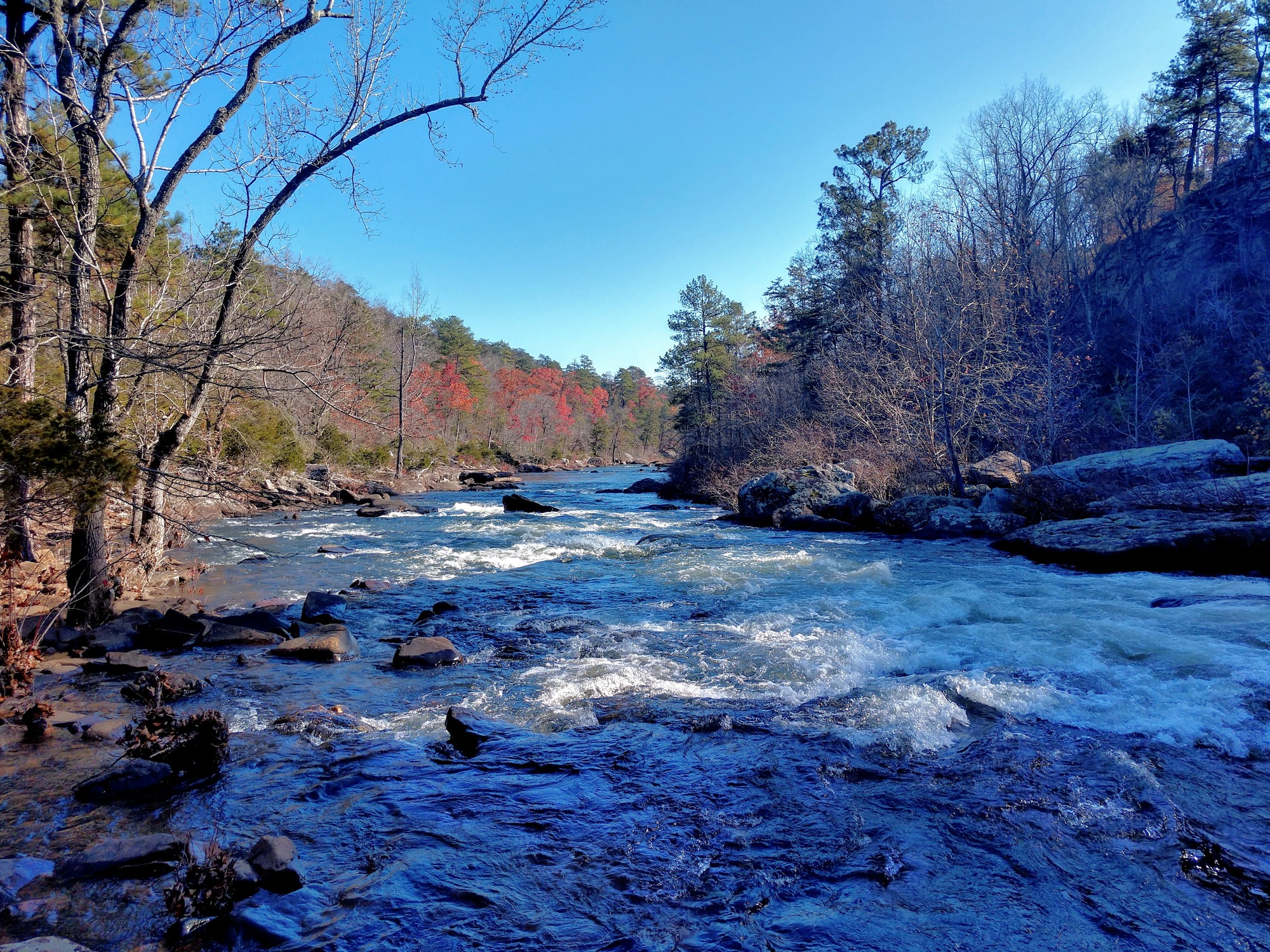 Below Little River Falls, Little River becomes rock-strewn as it slices into the sandstone forming Little River Canyon.