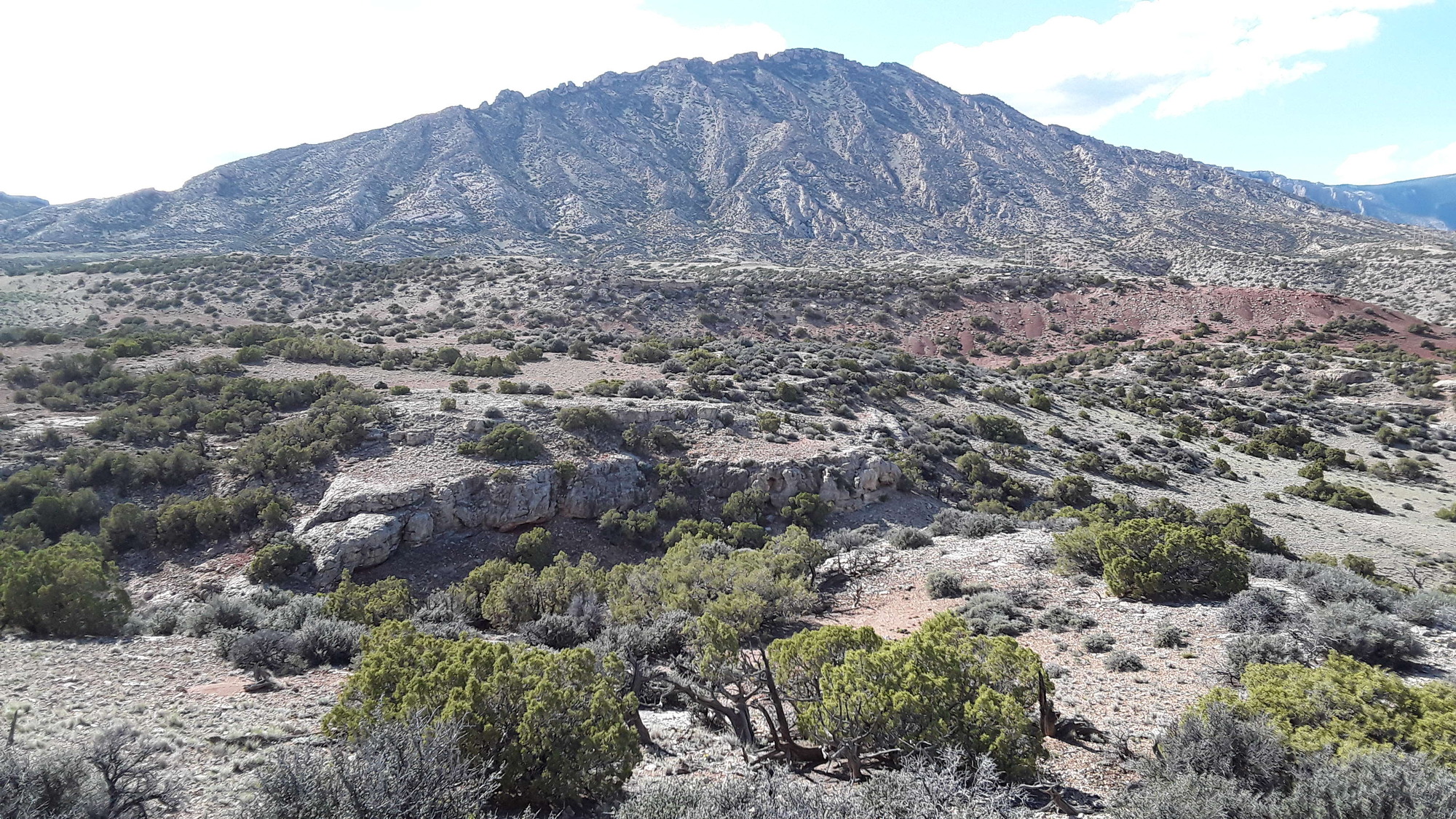 Image of the vegetation and landscape at photo point in Bighorn Canyon NRA 