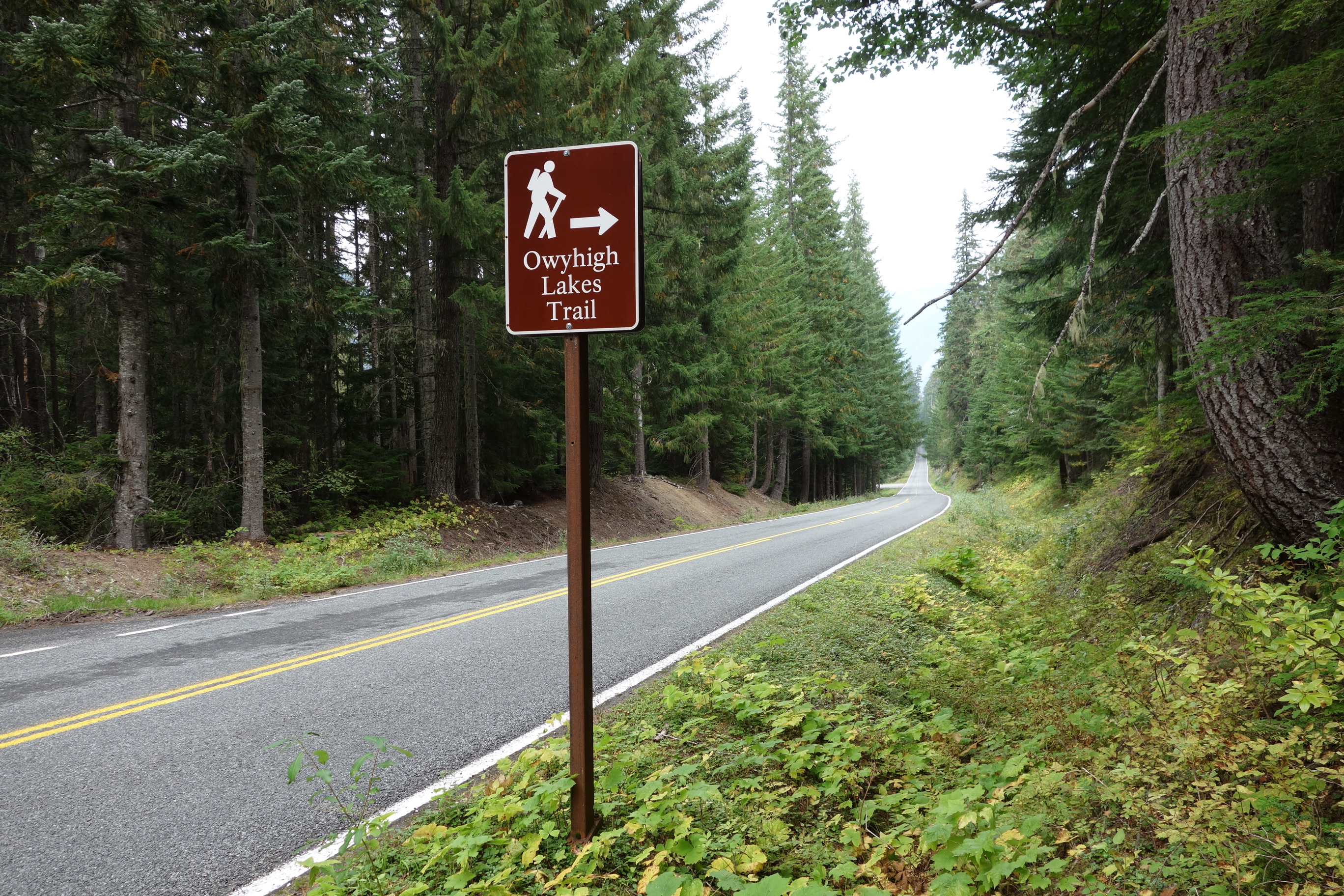 A trail sign next to a road reads "Owyhigh Lakes Trail". 