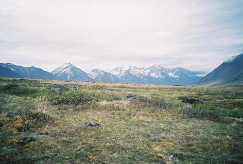 7 Gates of the Arctic National Park and Preserve Itkillik Birds Survey June 2006