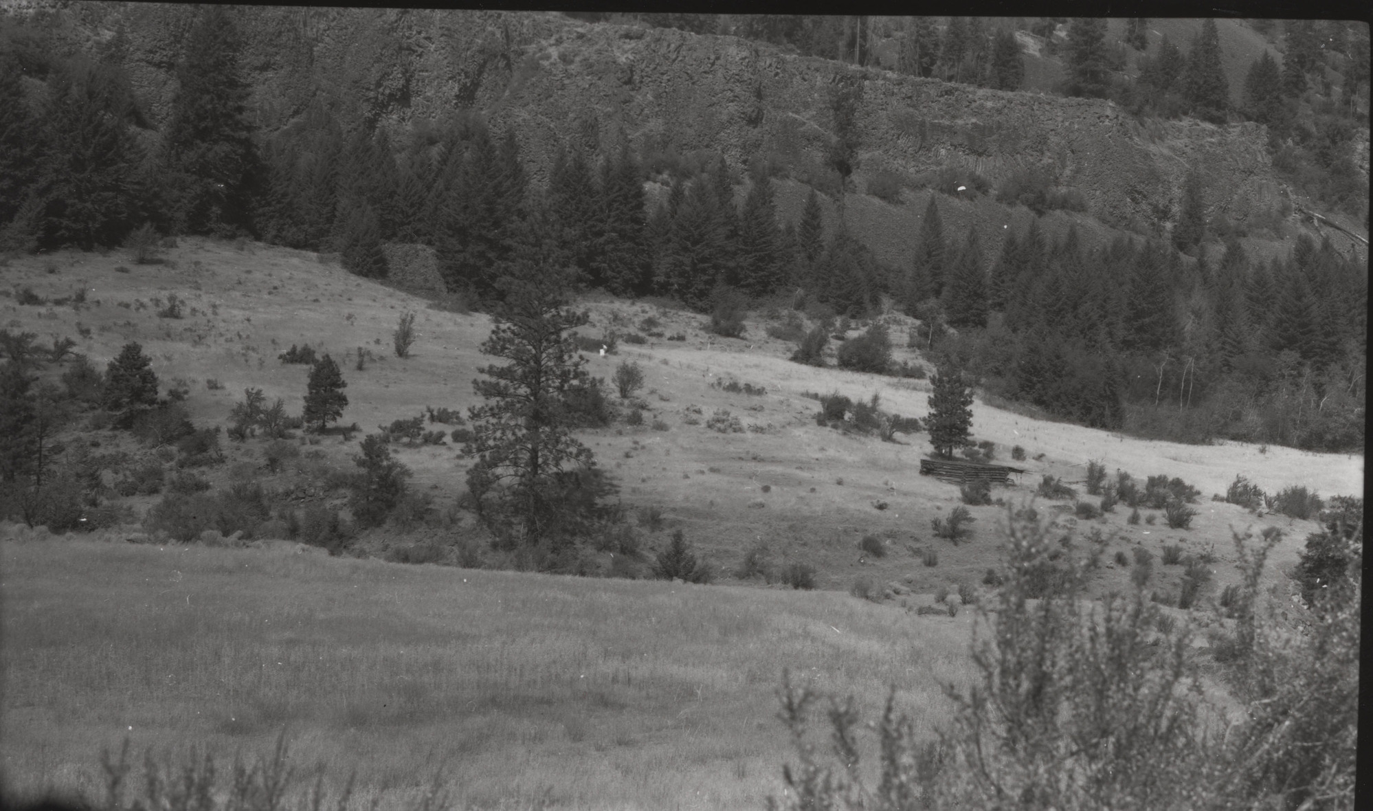 Black and white photograph of an open grassy area with a few trees and shrubs and steep rocky cliffs in the background.
