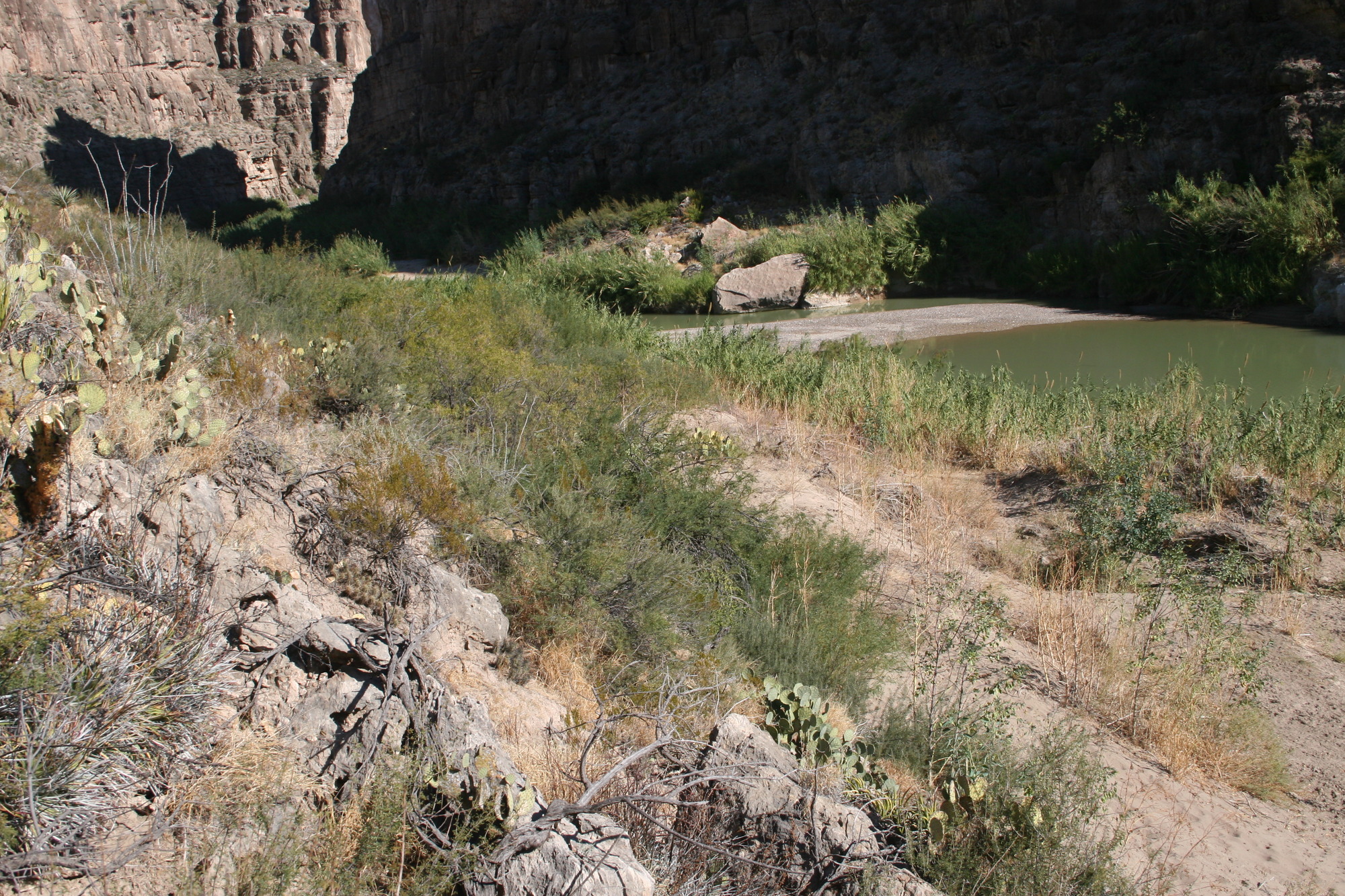 Photo of the Rio Grande