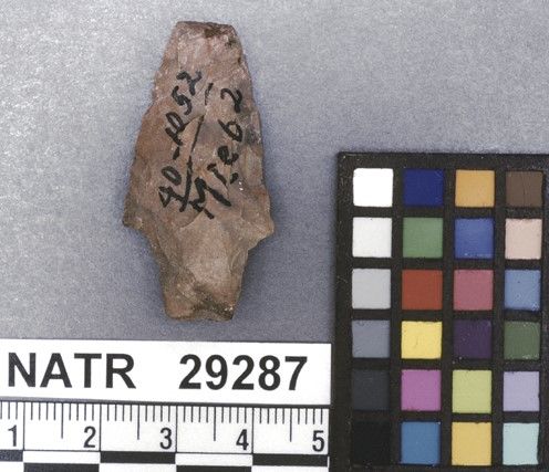 NATR   29287 -- Untyped projectile point