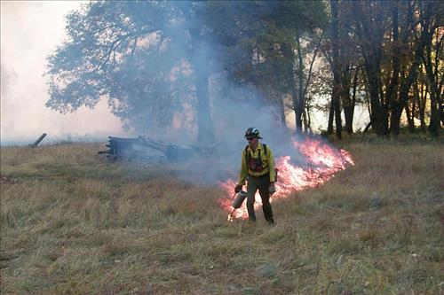 Crews using drip torches to ignite El Capitan prescribed burn, 2000, Yosemite National Park
