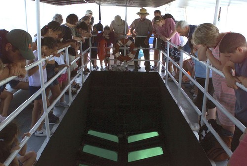 Sustainable Practices H-glass bottom boat tour
