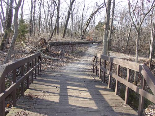 Wilson's Creek National Battlefield Ice Storm, January 2007, Before and During Clean Up