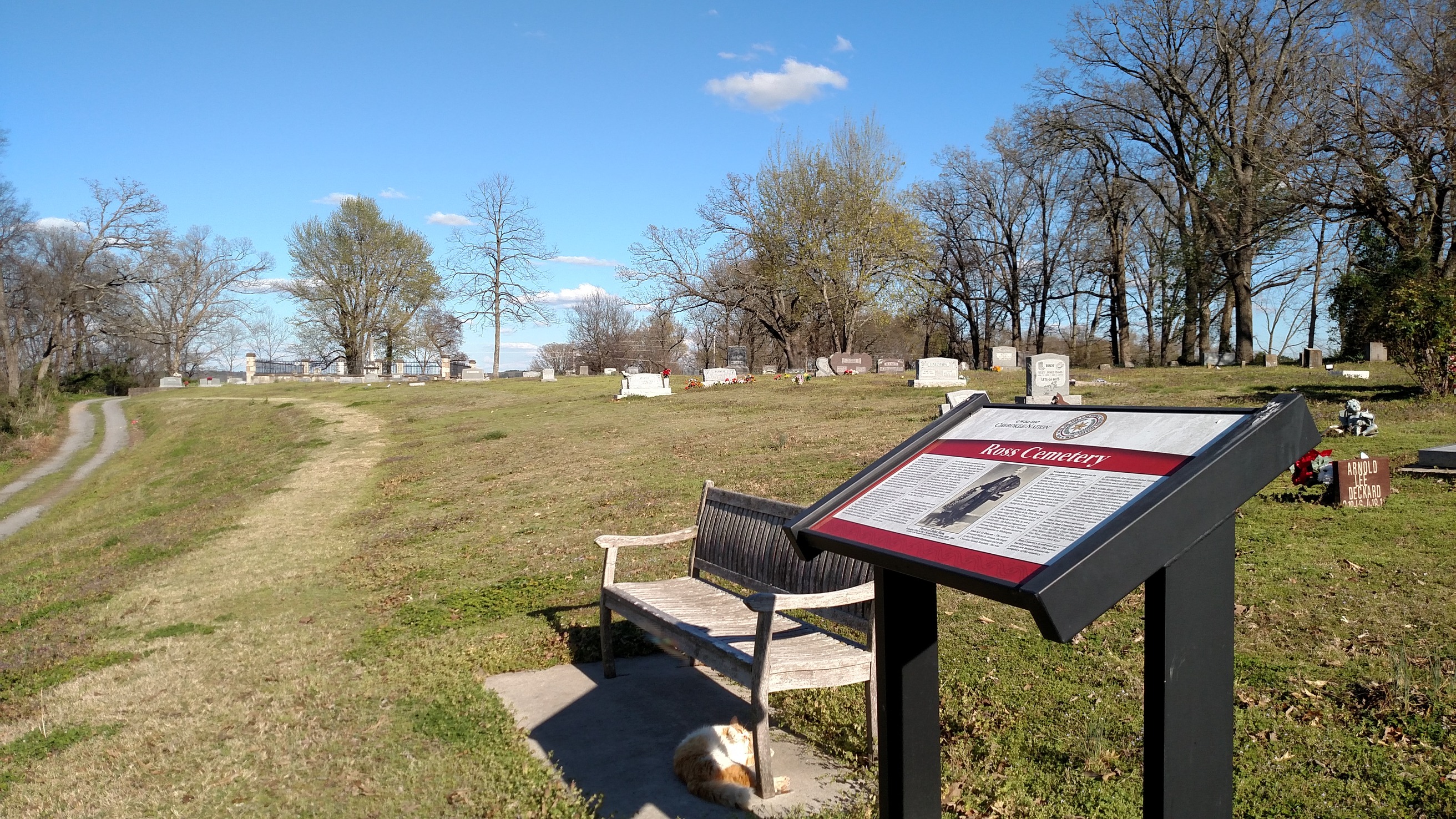 A cat lounges in the sun at the Ross Cemetery wayside in Park Hill, Oklahoma