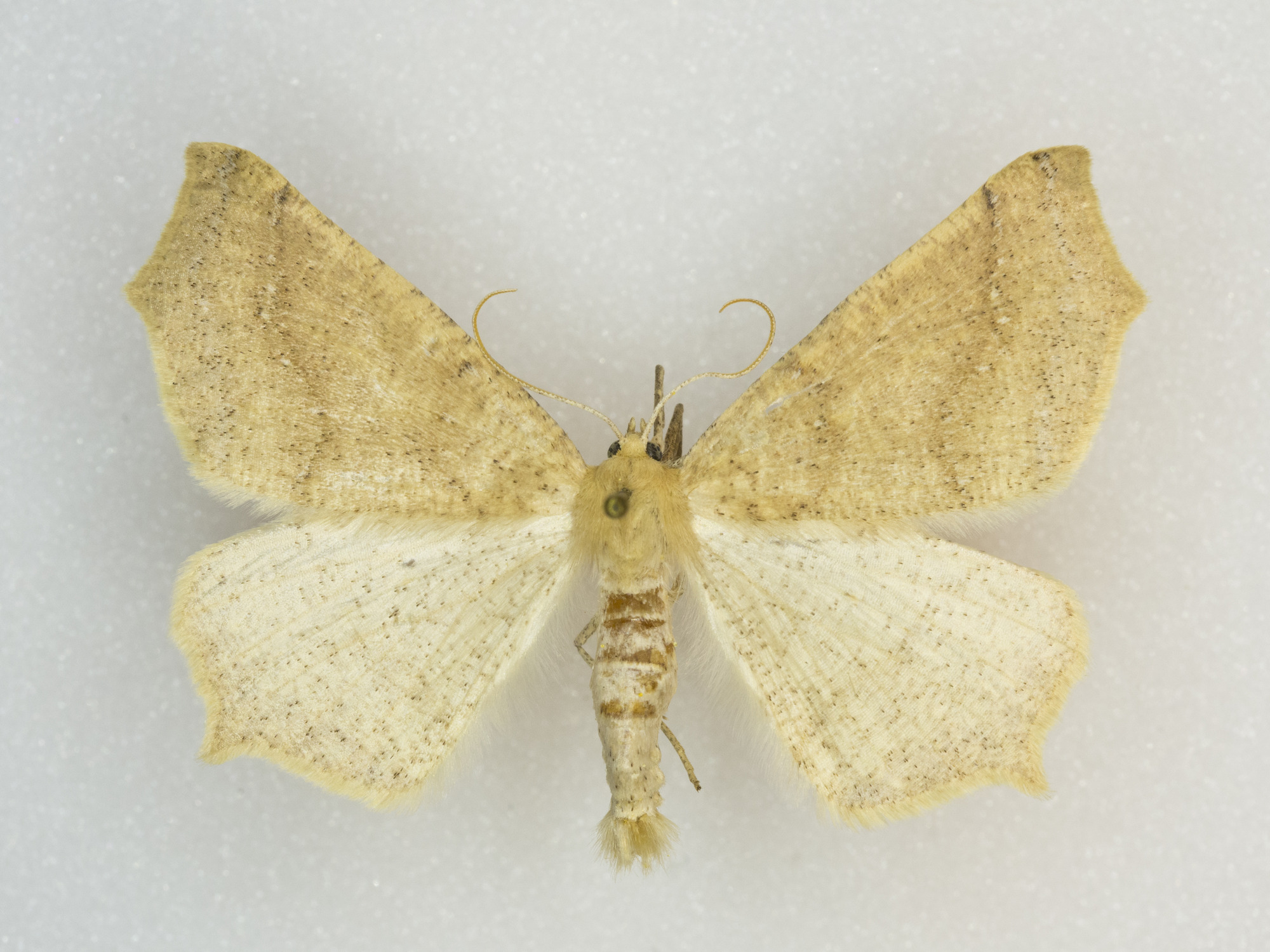 Grand Canyon Museum Collection
Address: 2 Albright Ave, Grand Canyon Village, AZ 86023
Phone: (928) 638-7769
https://www.nps.gov/common/utilities/sendmail/sendemail.cfm?o=6CB7F89AA2FEBAAF91AE1E90DA18A7A1439E528653B8AC914F0CE08011C0&r=/grca/learn/historyculture/muscol.htm