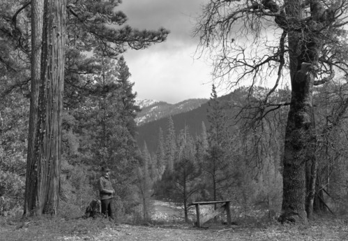 New houses on Section 35 at Wawona.