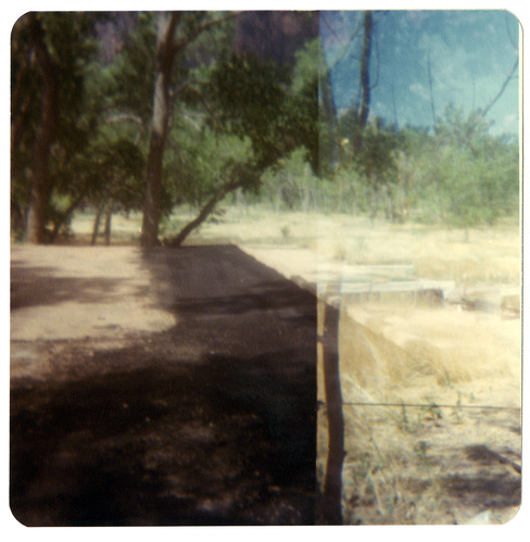 Road side along the Zion-Mt. Carmel Highway switchbacks.