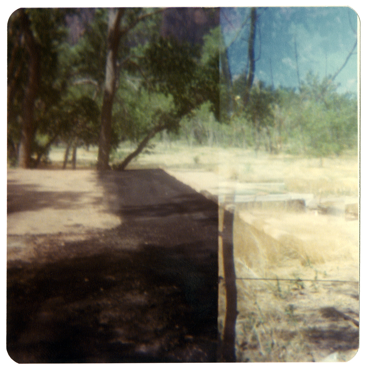 Road side along the Zion-Mt. Carmel Highway switchbacks.