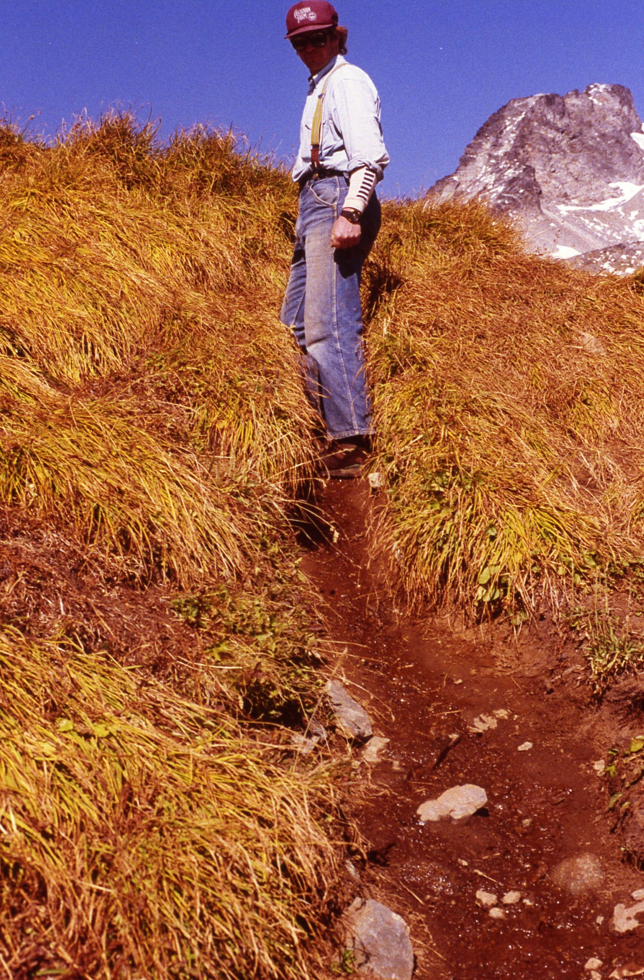 A hiker on a deep and narrow trail among tall grasses. In the distance is a mountain peak.