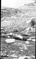  upper end Rattlesnake Creek Canyon. Subalpine Meadow Plant Community, Glaciated Canyons. Exfoliation / Weathering.. SEKI Historic Image