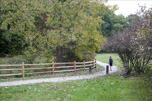 Fall hiker on Boston Run Trail