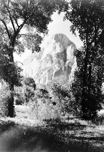 The Mountain of the Sun from meadow in front of Zion Lodge.