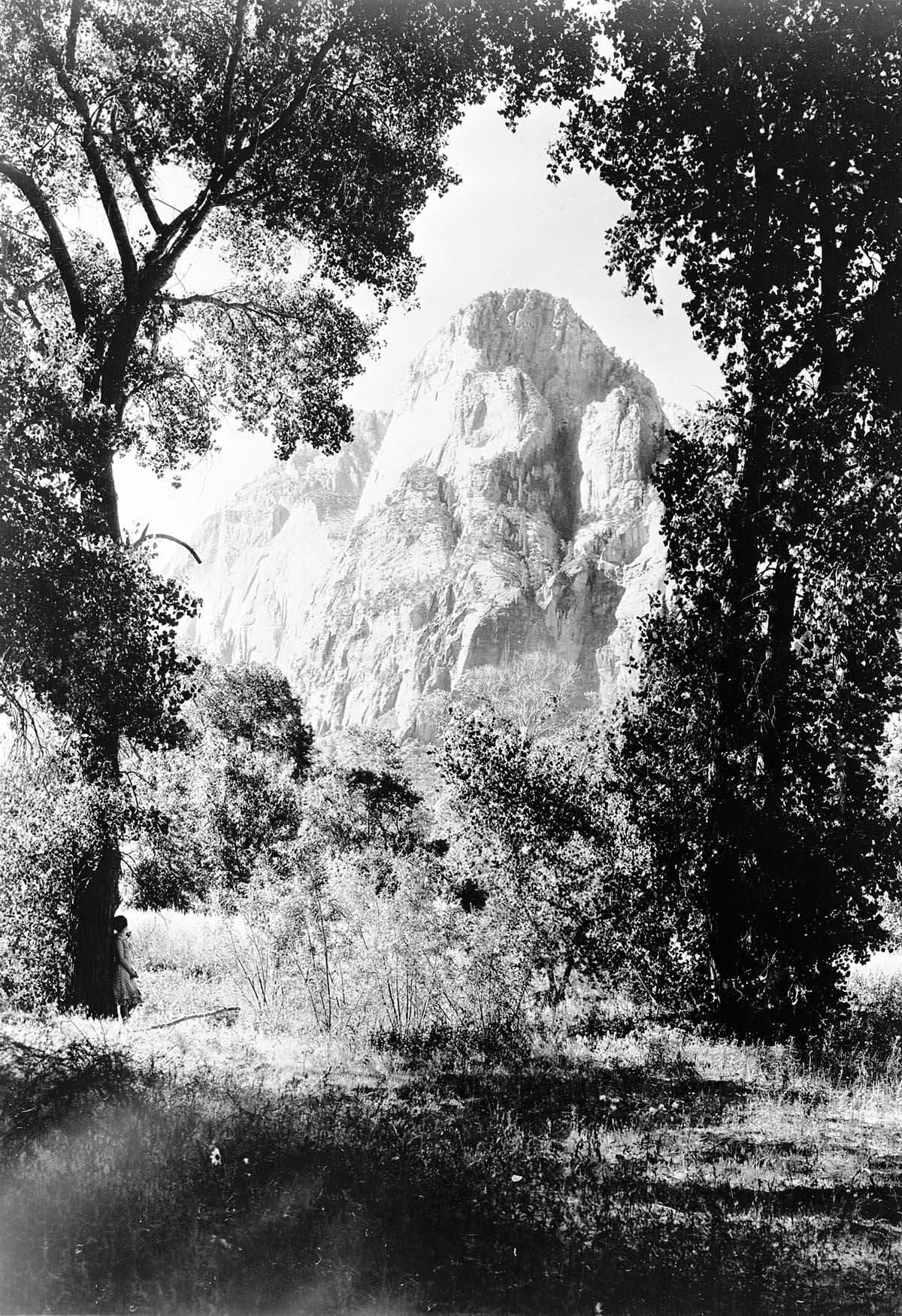 The Mountain of the Sun from meadow in front of Zion Lodge.