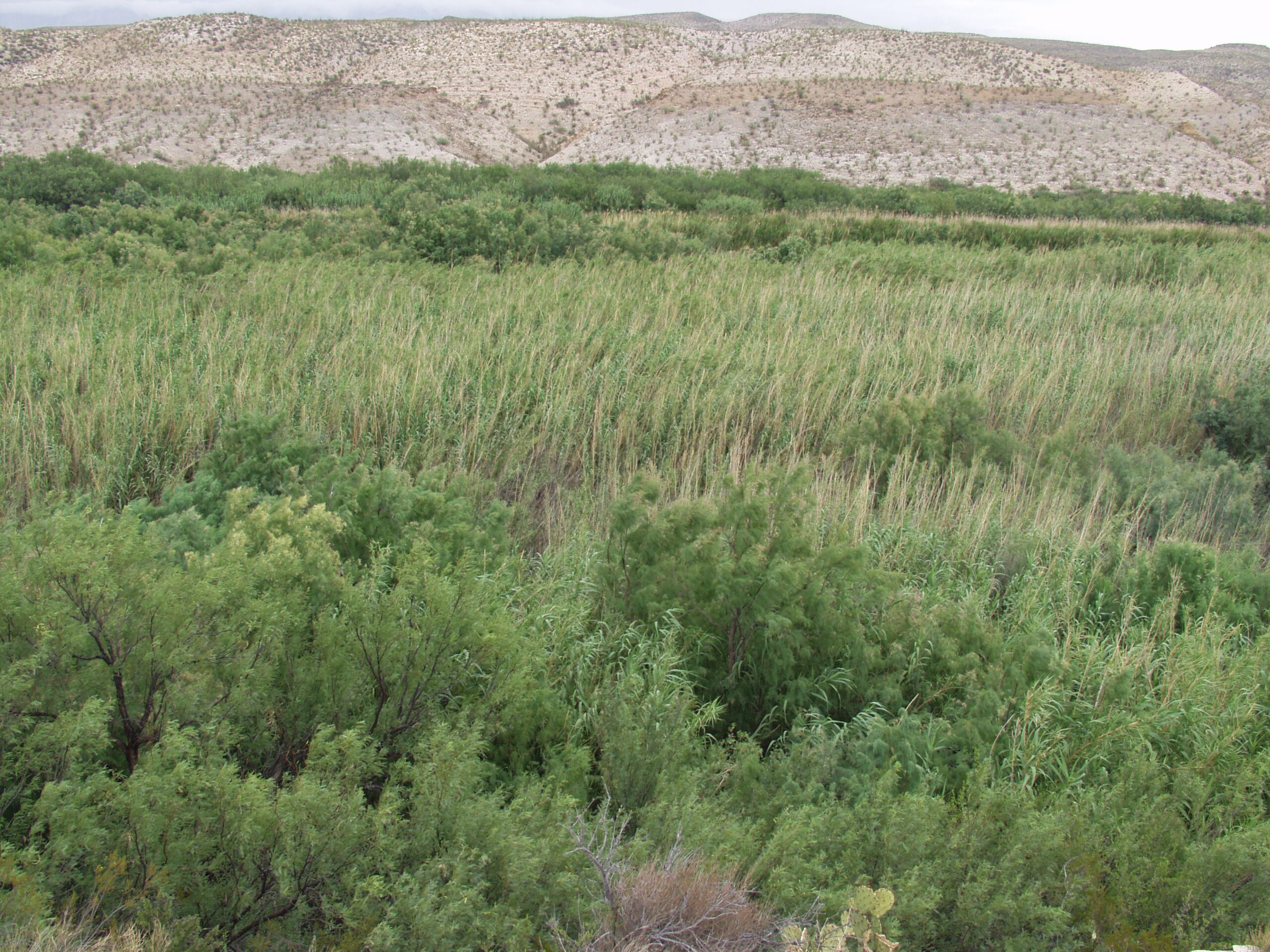 Photo of the Rio Grande