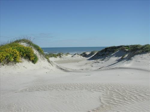 Scenery of Padre Island National Seashore