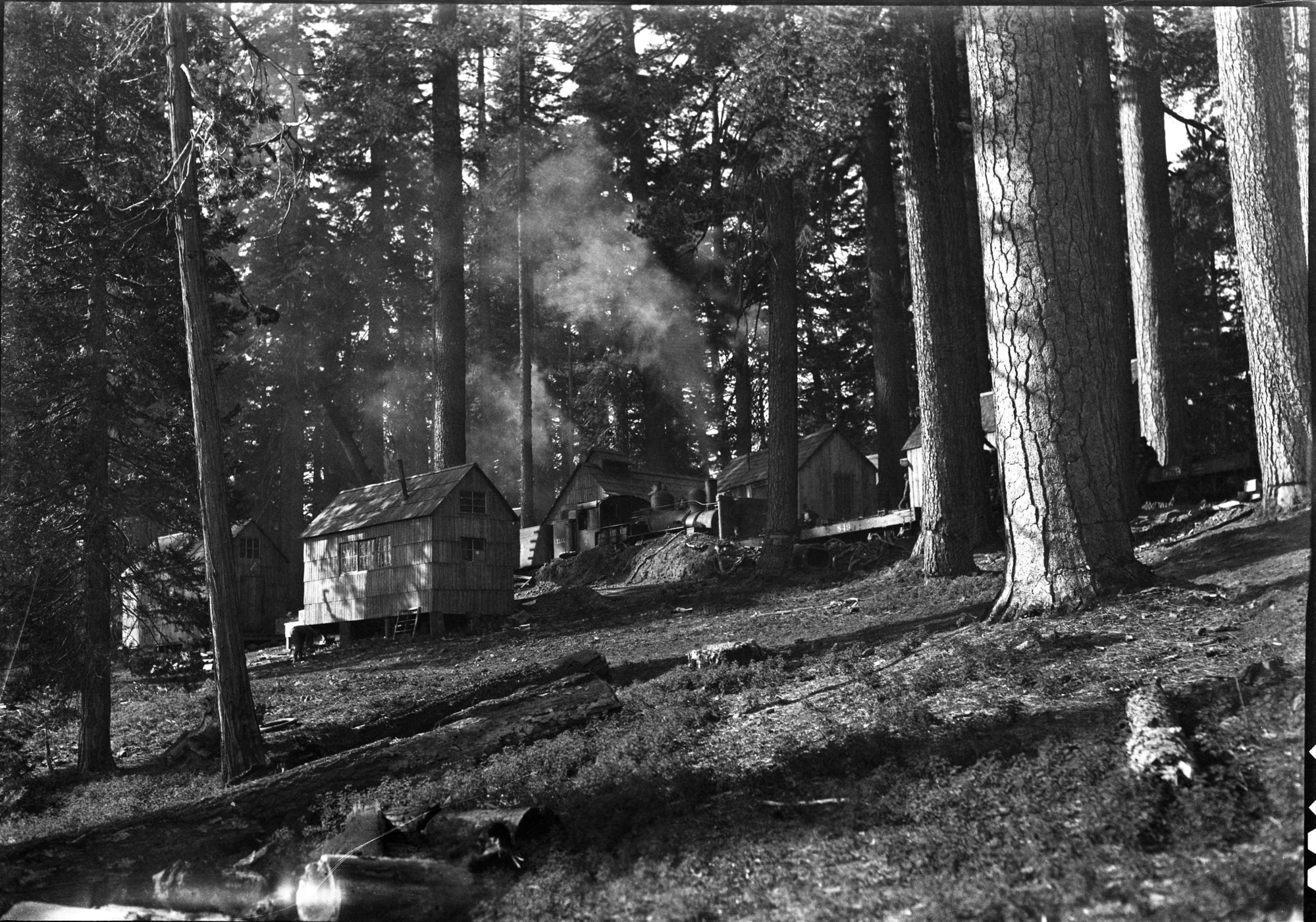 Yosemite Lumber Co. - Camp #15