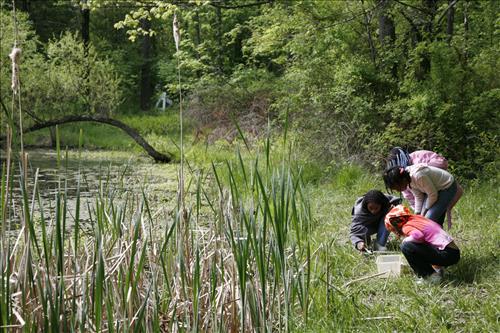 CVEEC Girl Scouts pond exploration 2