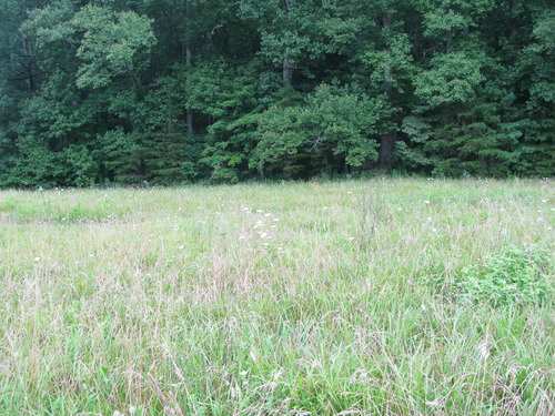 GRSM Accuracy Assessment. Plot Code: GRSM_AA_0863_5