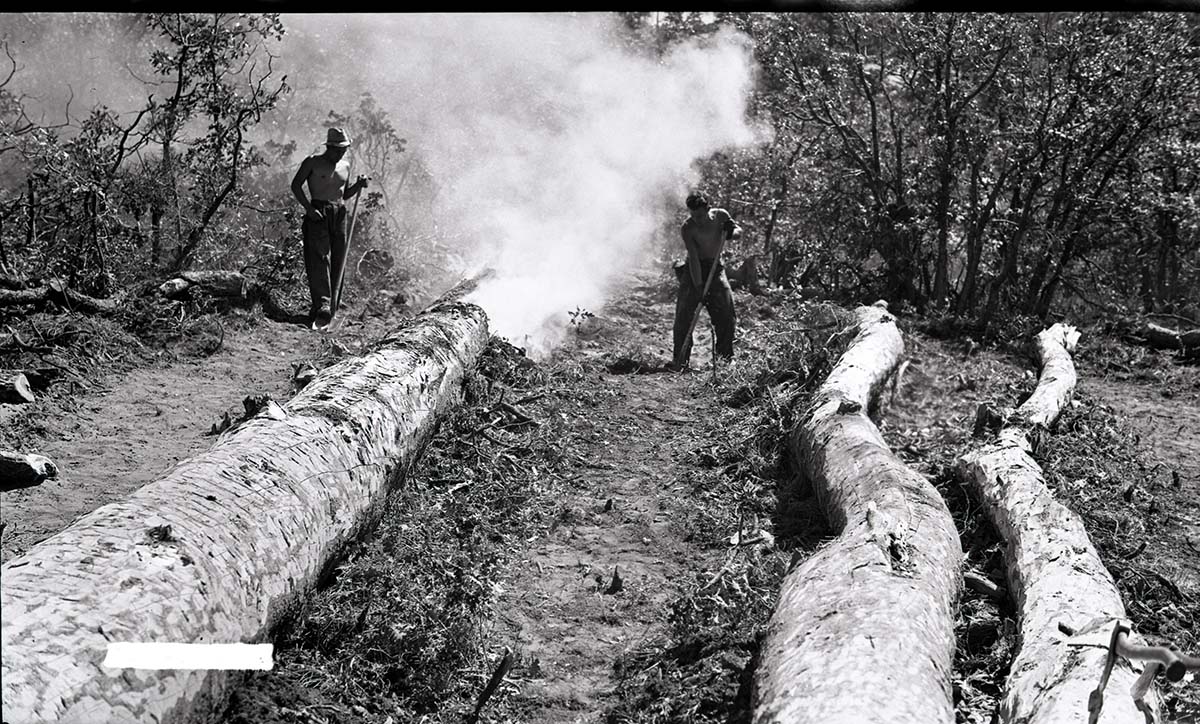 Two Civilian Conservation Corps (CCC) workers on West Rim Trail peeling and burning bark on downed ponderosa to control bark beetle infestation.
