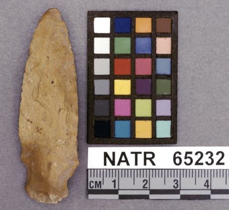 NATR   65232 -- Little Bear Creek projectile point