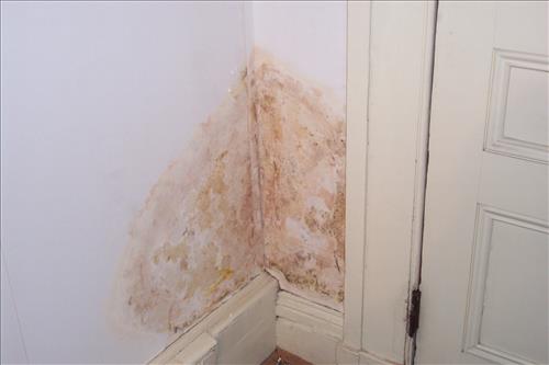 Repair and Weatherize Historic Windows, Casements, and Doors at Petersen House, Ford's Theater