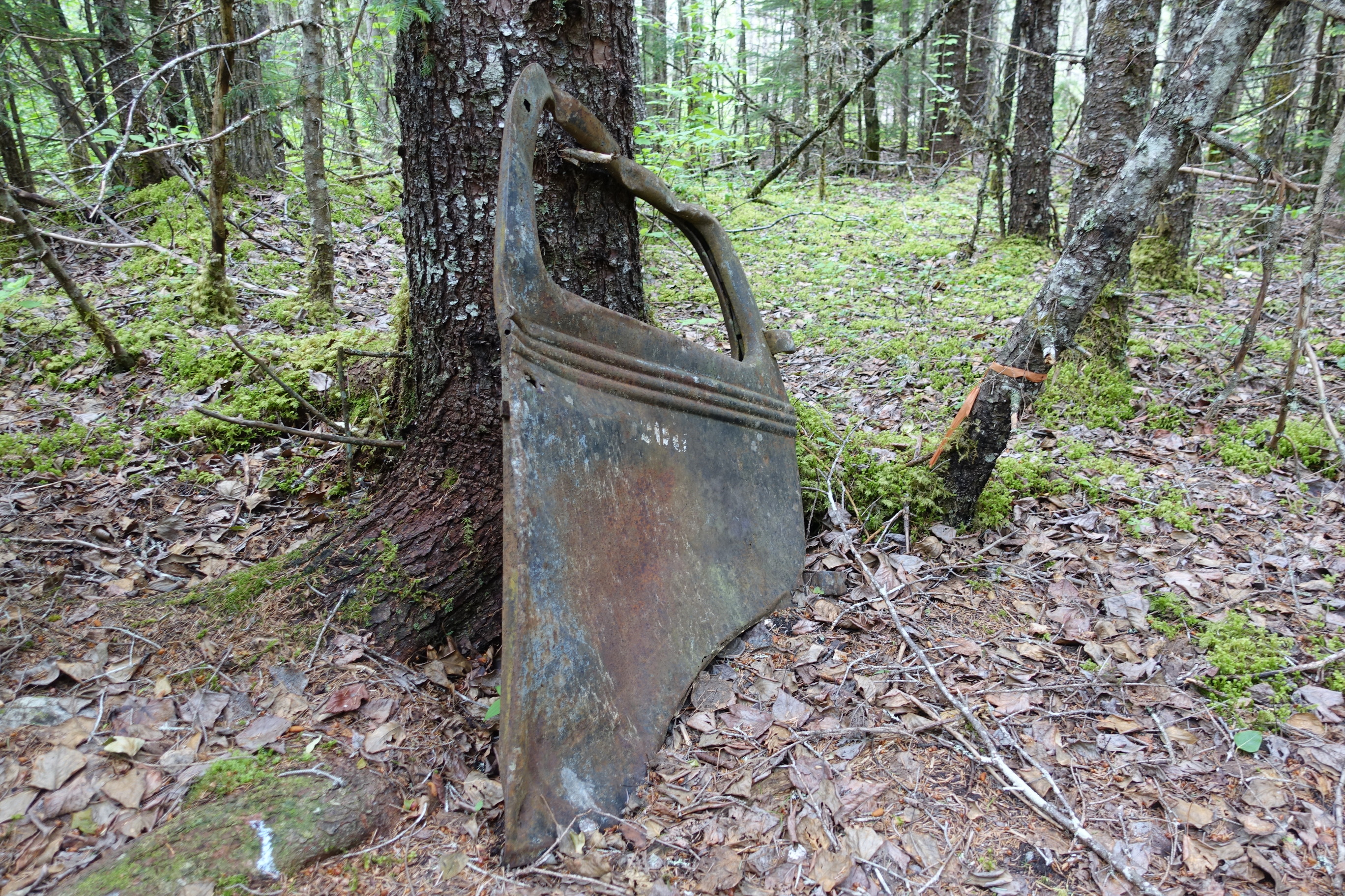 Rusted metal door, a remnant of the Hosford Camp Site.
