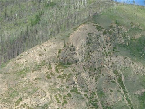 19 Yukon-Charley Rivers National Preserve Peregrine Falcon Survey July 2006
