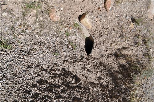 Cyclic Road Culvert Clearing