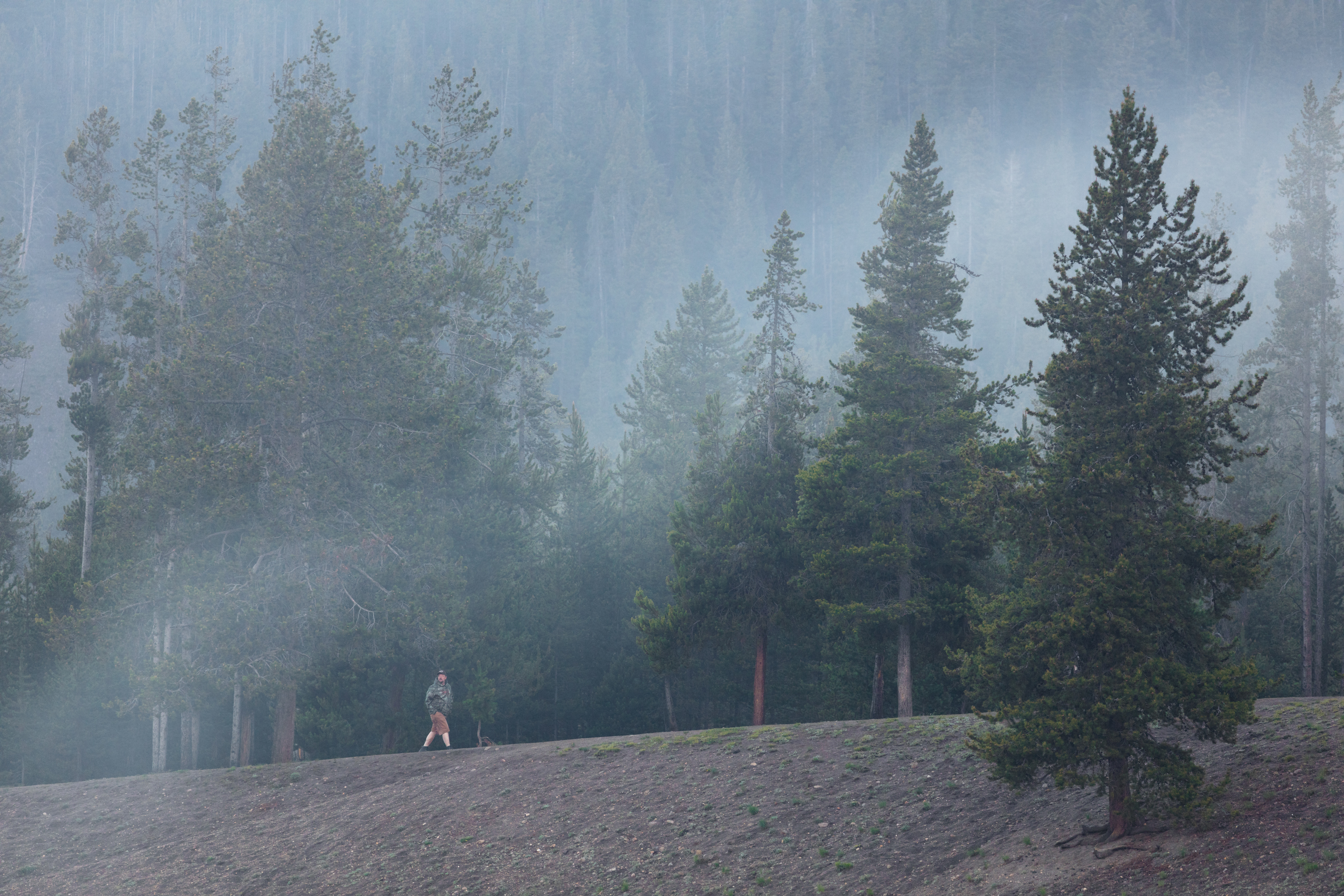 One person walking along high area with trees in background