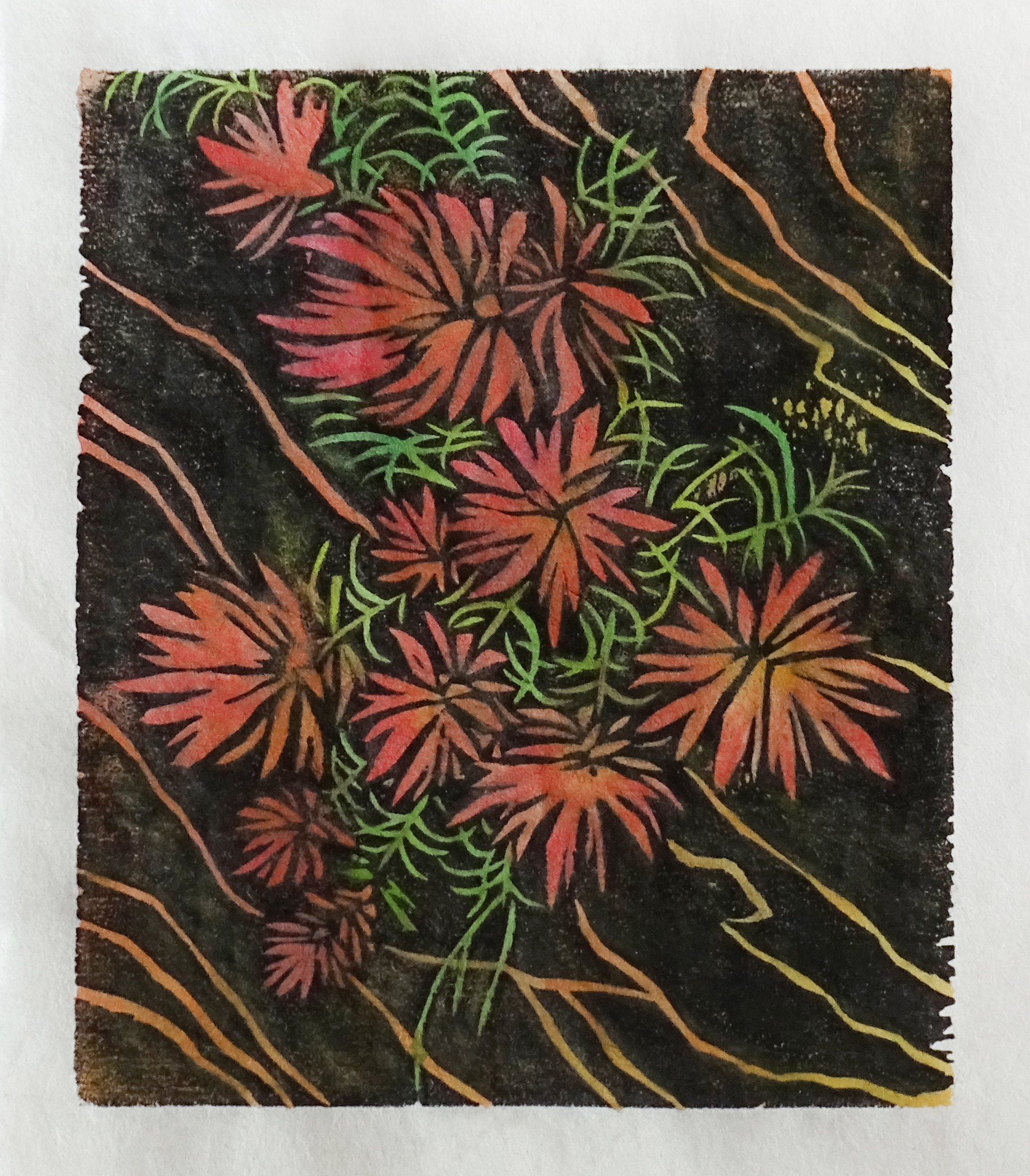 Bushy red flowers and thin green stems are printed in contrast to a black background. Small stripes of yellow-orange run diagonally across the print.