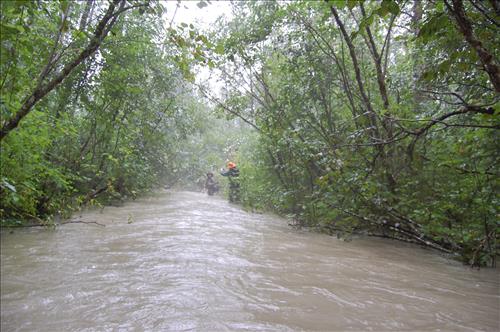 View of Southern Approach to Steel II Bridge Looking South