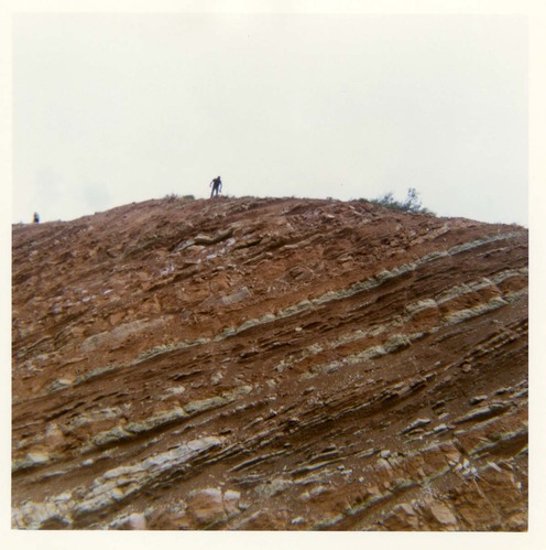 Color photo of the hydroseeding experiment along the Kolob Canyon Road.
