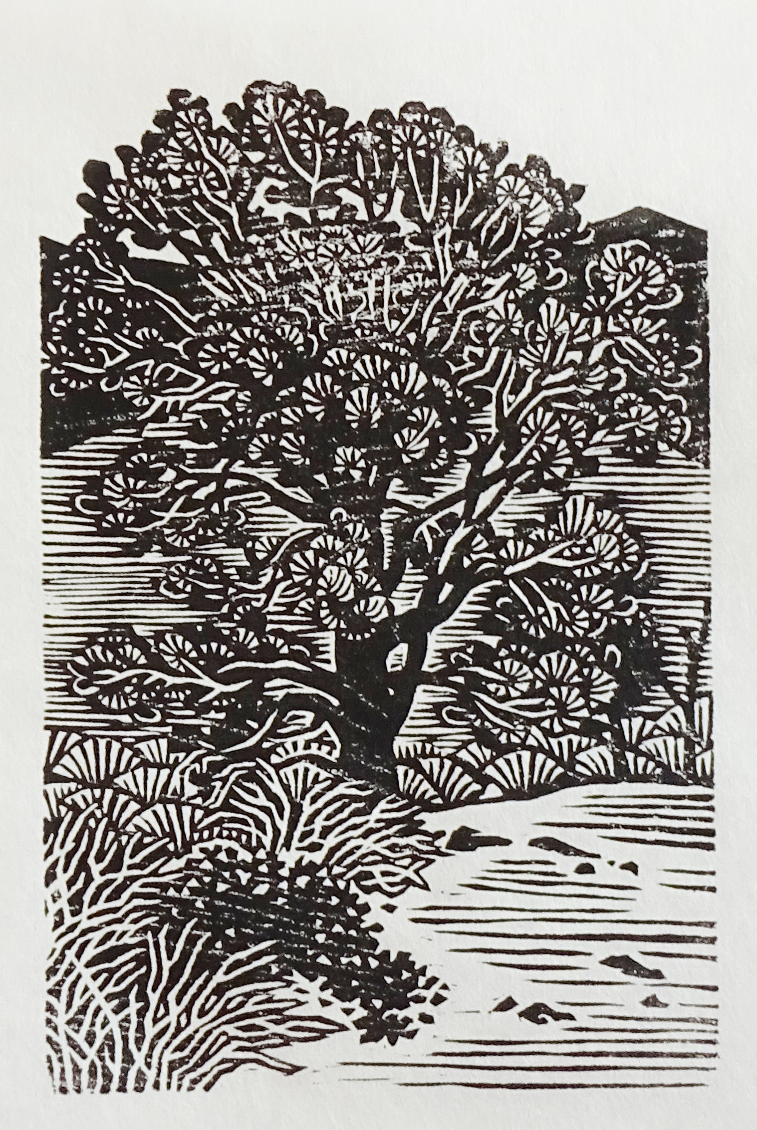 A black-and-white image made from ink on paper. In the center, a medium-sized tree with many branches stands in front of an overlook. In the background, tall black cliffs form a solid mass. In the foreground, small black shrubs, grasses, and pebbles cover the landscape.