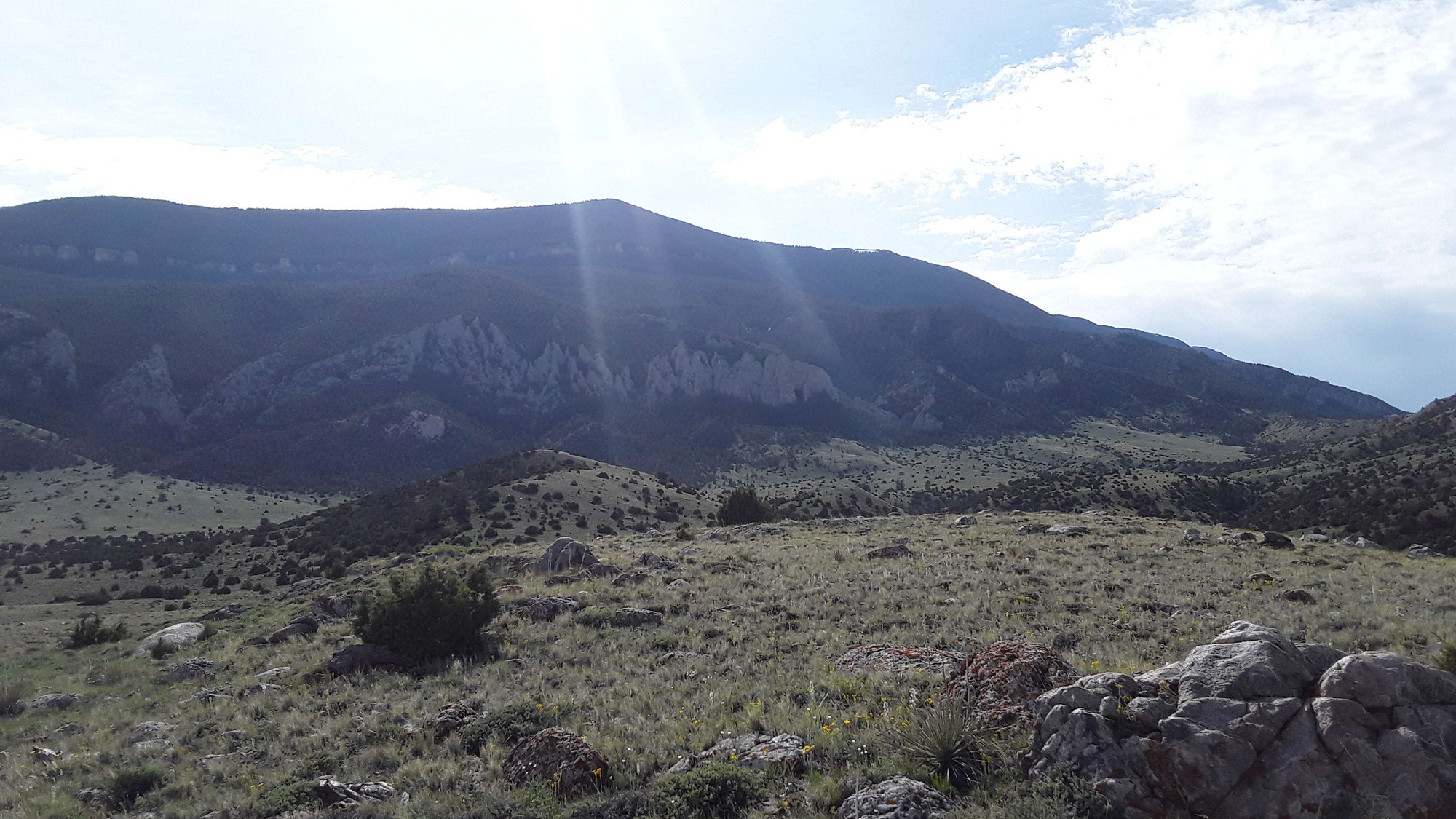 Photo of the landscape and upland vegetation in Bighorn Canyon National Recreation Area.