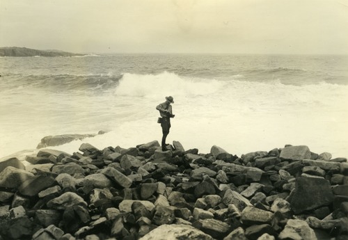 SURF ALONG OCEAN DRIVE