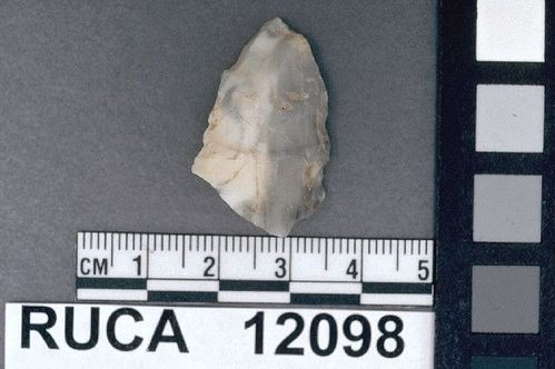 RUCA   12098 -- Point, Projectile