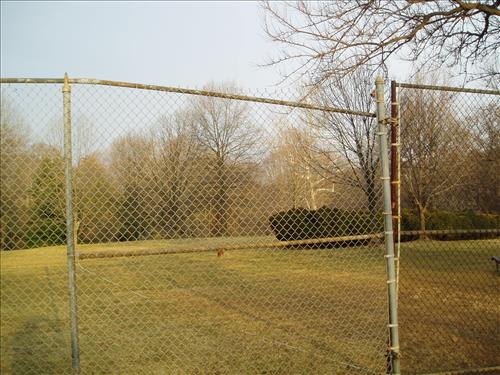 Problems with Montrose Park tennis courts - 02-27-09