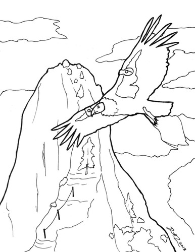 Black line drawing of large bird, California condor, flying over cliff features below. Condor has two tags on its wings with the number "9".  Cliff features below have some trees and bushes on them. Sky above has four clouds draw in it. 